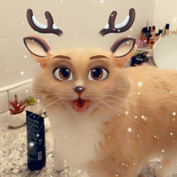 krstgrl